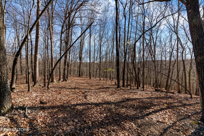 150 Clear Branch Rd N, Loudon, TN 37774