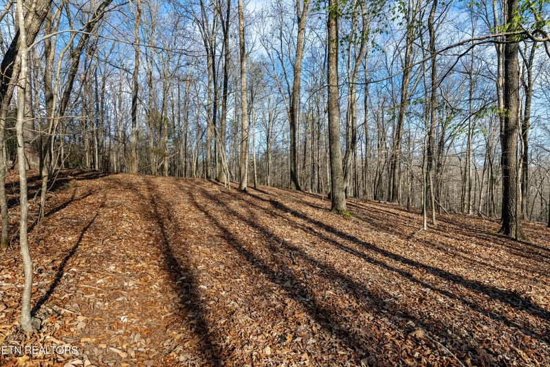 150 Clear Branch Rd N, Loudon, TN 37774