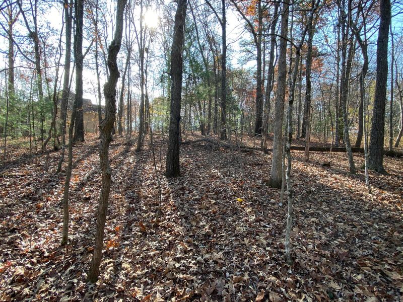 150 Dalefield Loop, Fairfield Glade, TN 38558