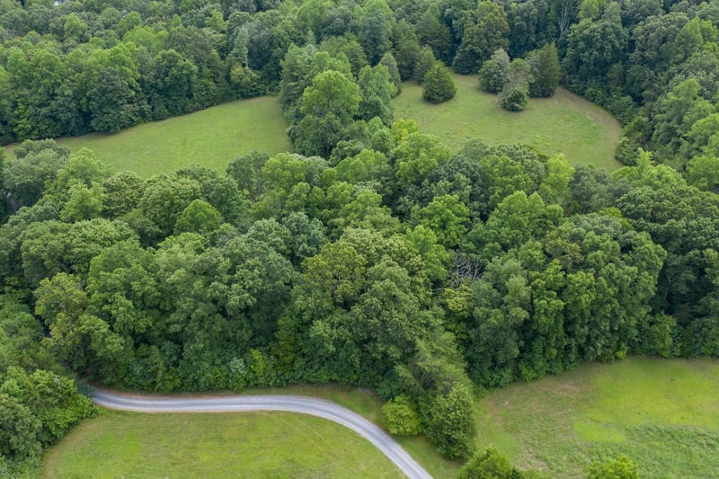 150 Hughes Hollow Rd, Philadelphia, TN 37846