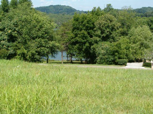 150 Pineberry L 358 Dr, Vonore, TN 37885