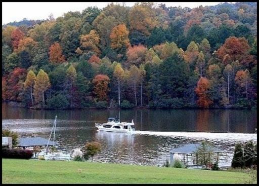 150 Pineberry L 358 Dr, Vonore, TN 37885