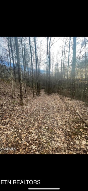 150 Timber Oaks Ln, Pioneer, TN 37847