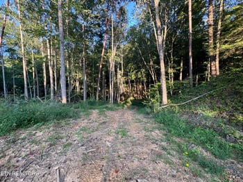 150 Timber Oaks Ln, Pioneer, TN 37847