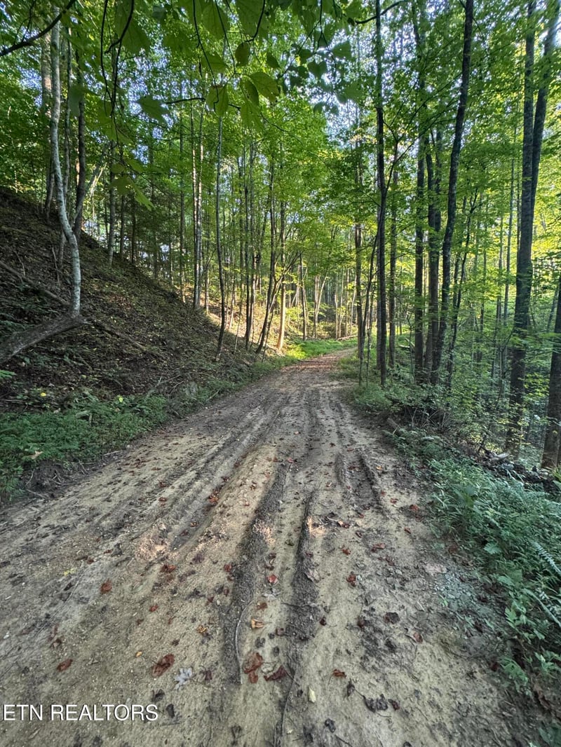 150 Timber Oaks Ln, Pioneer, TN 37847