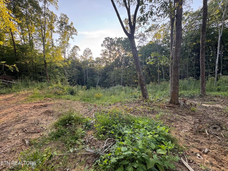 150 Timber Oaks Ln, Pioneer, TN 37847