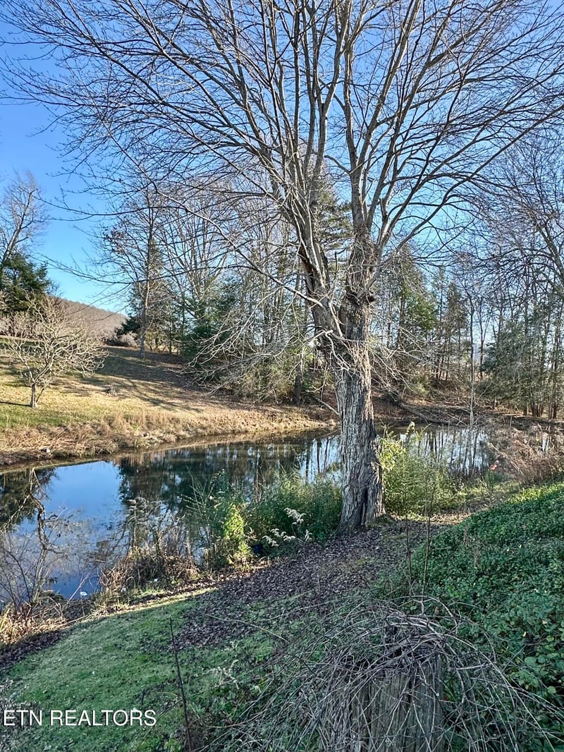 1500 Coal Hill Rd, Sunbright, TN 37872