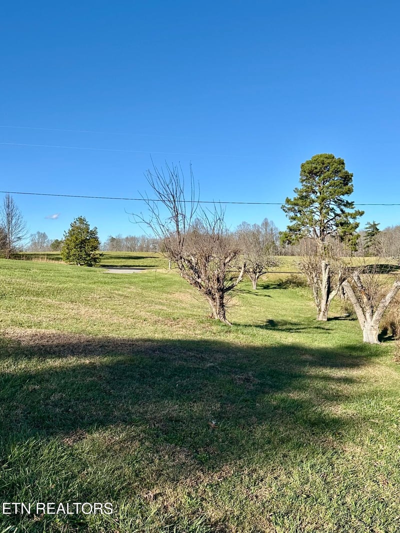 1500 Coal Hill Rd, Sunbright, TN 37872