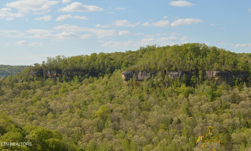 1501 Rob Watson Rd, Oneida, TN 37841