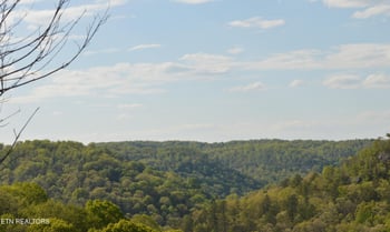 1501 Rob Watson Rd, Oneida, TN 37841