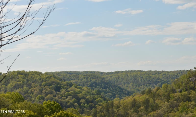 1501 Rob Watson Rd, Oneida, TN 37841