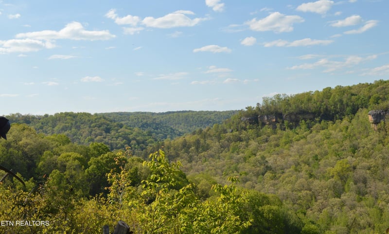 1501 Rob Watson Rd, Oneida, TN 37841
