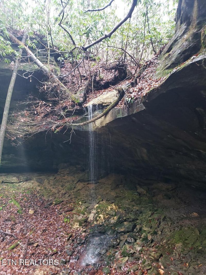 1501 Rob Watson Rd, Oneida, TN 37841
