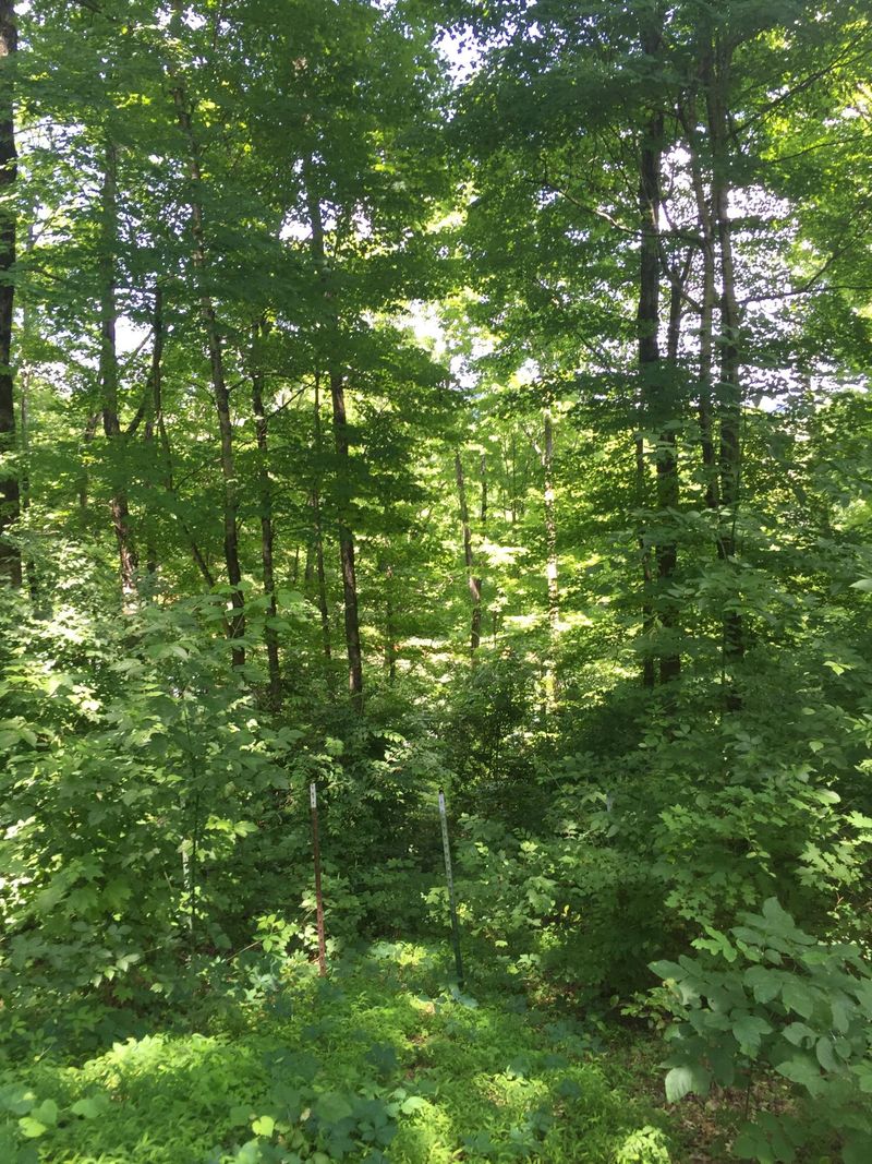 1506 Hope Creek Rd, Loudon, TN 37774