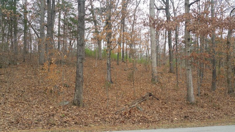 1507 Sequoia Dr, Vonore, TN 37885