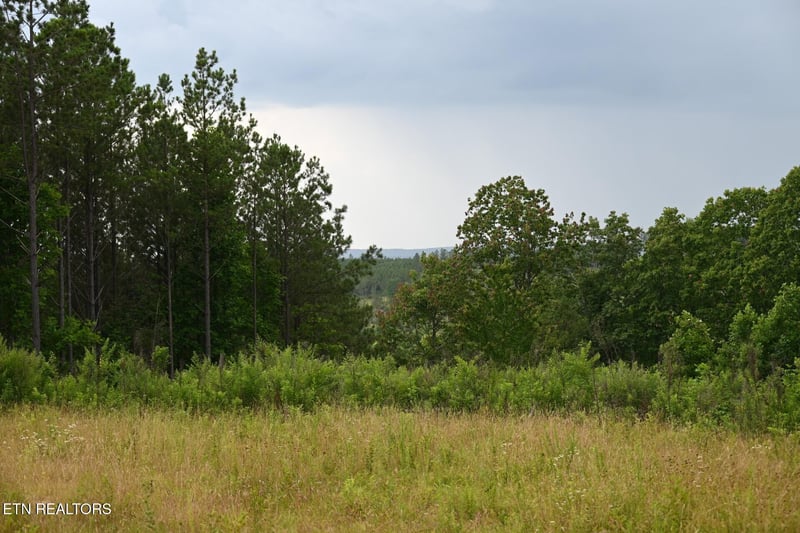 1508 Thomas Springs Rd, Crossville, TN 38572