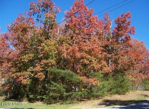 151 Baltusrol Rd, Crossville, TN 38558