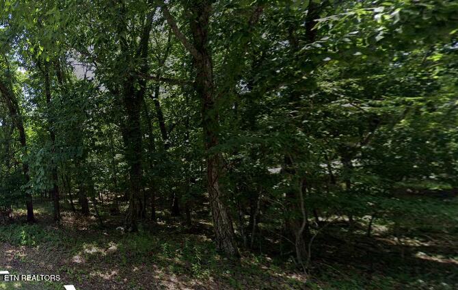 151 Baltusrol Rd, Crossville, TN 38558