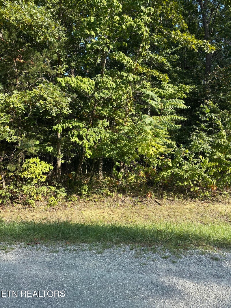 151 Beachwood Dr, Crossville, TN 38558