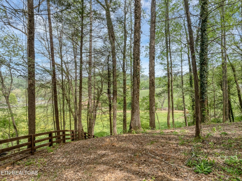 151 Bethel Church Rd, Townsend, TN 37882