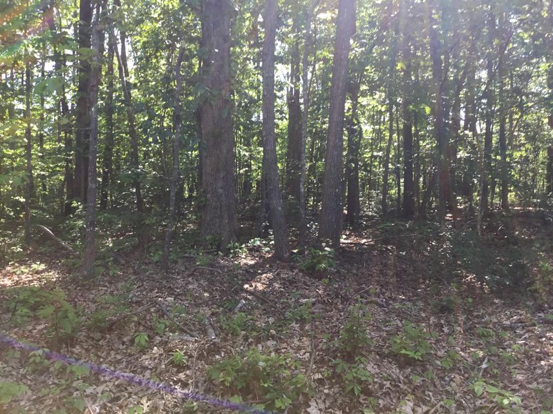 151 Delbridge Ln, Crossville, TN 38558