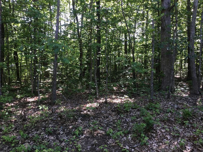 151 Delbridge Ln, Crossville, TN 38558