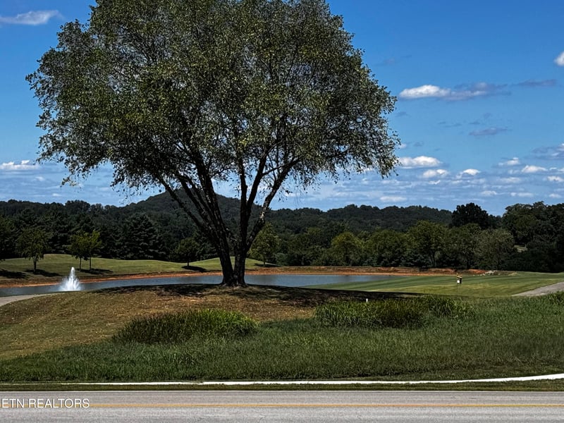 151 Gold Finch Ln, Vonore, TN 37885