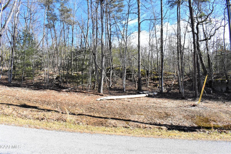 151 Markham Ln, Fairfield Glade, TN 38558
