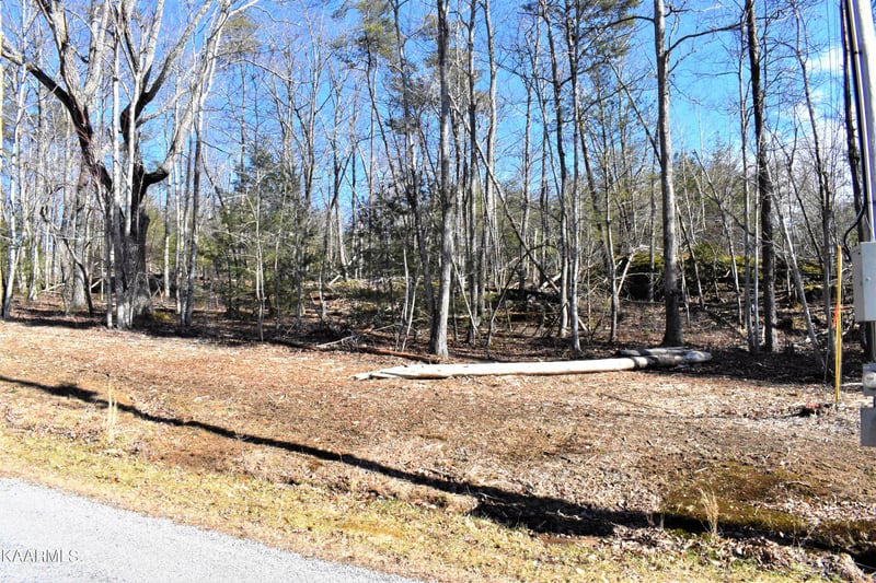 151 Markham Ln, Fairfield Glade, TN 38558