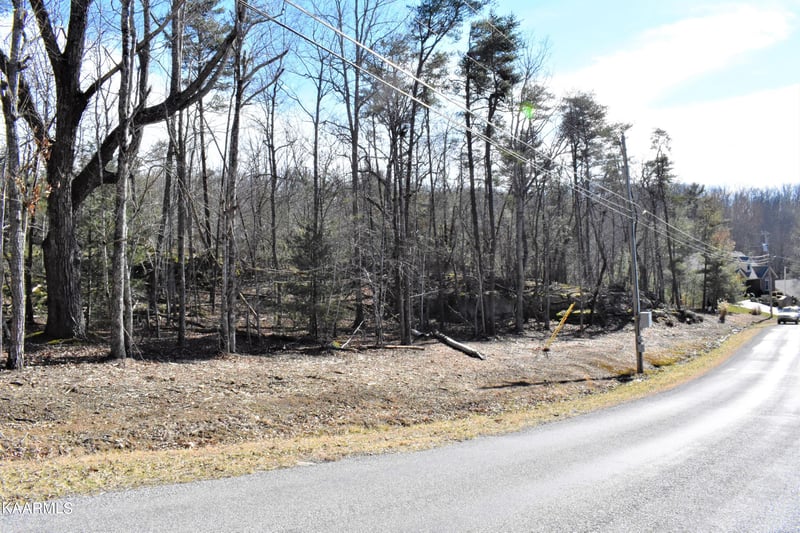 151 Markham Ln, Fairfield Glade, TN 38558