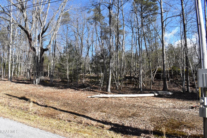151 Markham Ln, Fairfield Glade, TN 38558