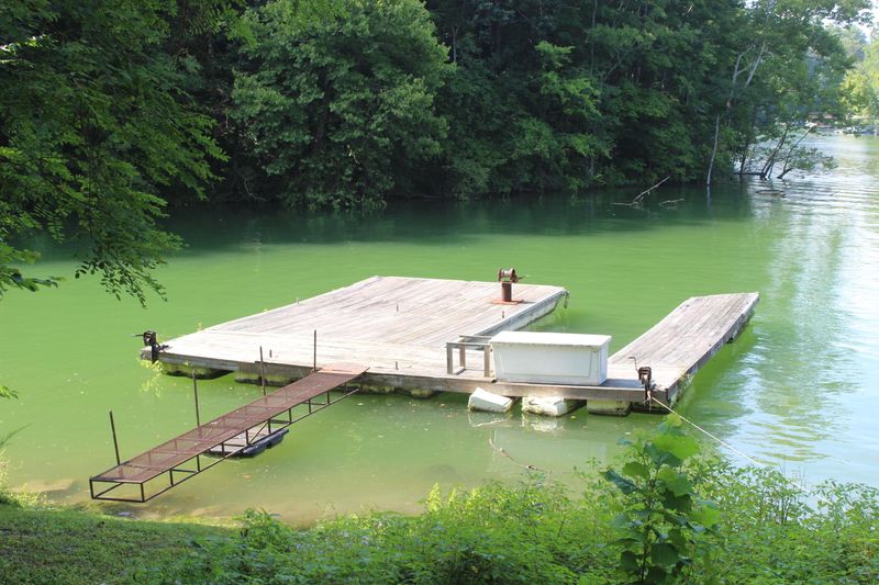 151 Pine Tree Ln, Caryville, TN 37714