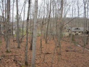 151 Pineridge Loop, Crossville, TN 38558