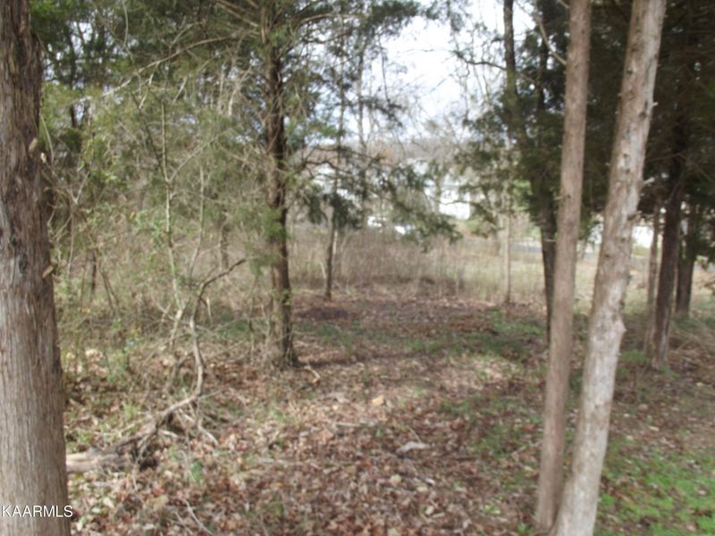 151 Tommotley Dr, Loudon, TN 37774