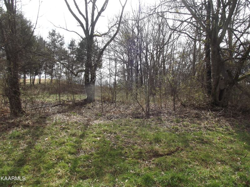 151 Tommotley Dr, Loudon, TN 37774