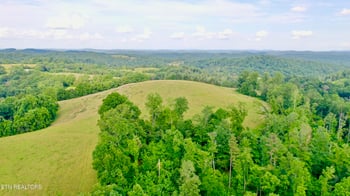 1514 Chestnut Stump Rd, Lafollette, TN 37766