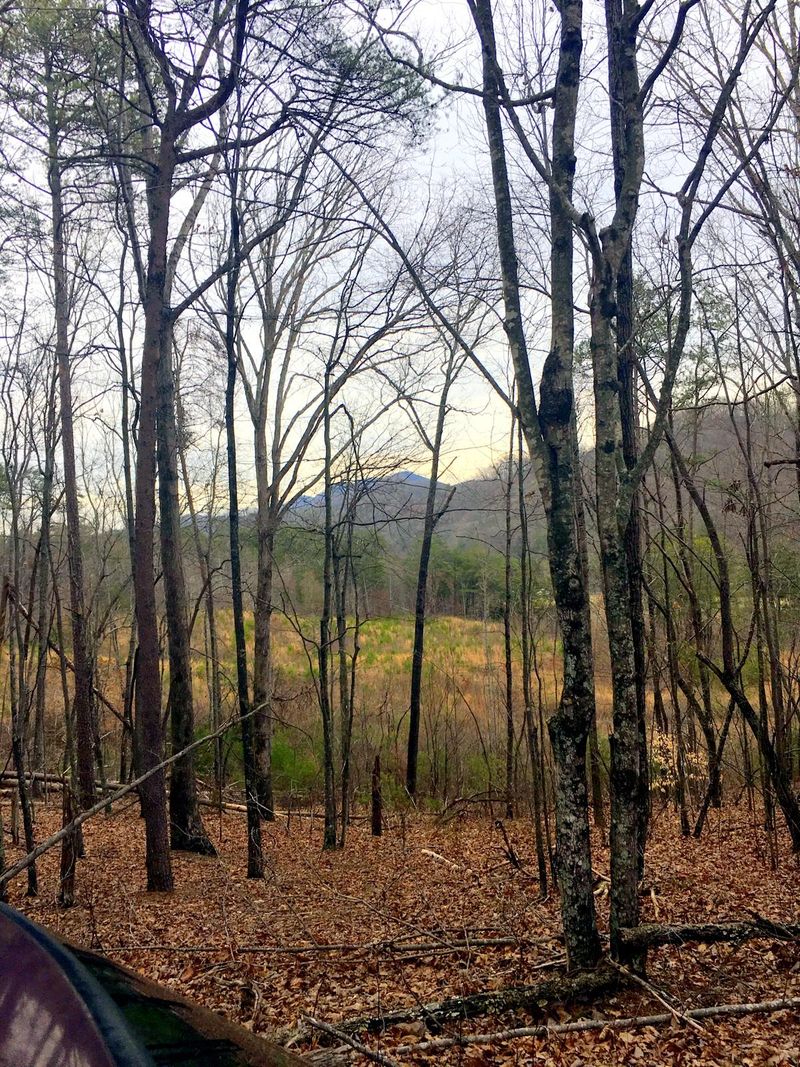 1517 Reagan Valley Rd, Tellico Plains, TN 37385