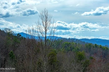 1519 Boo Boos Way, Sevierville, TN 37862