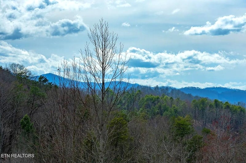 1519 Boo Boos Way, Sevierville, TN 37862