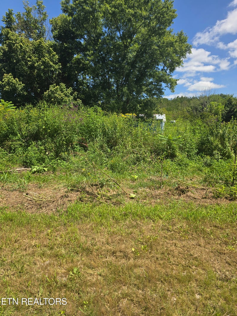 152 - 138 Wilmoth Ln, Washburn, TN 37888