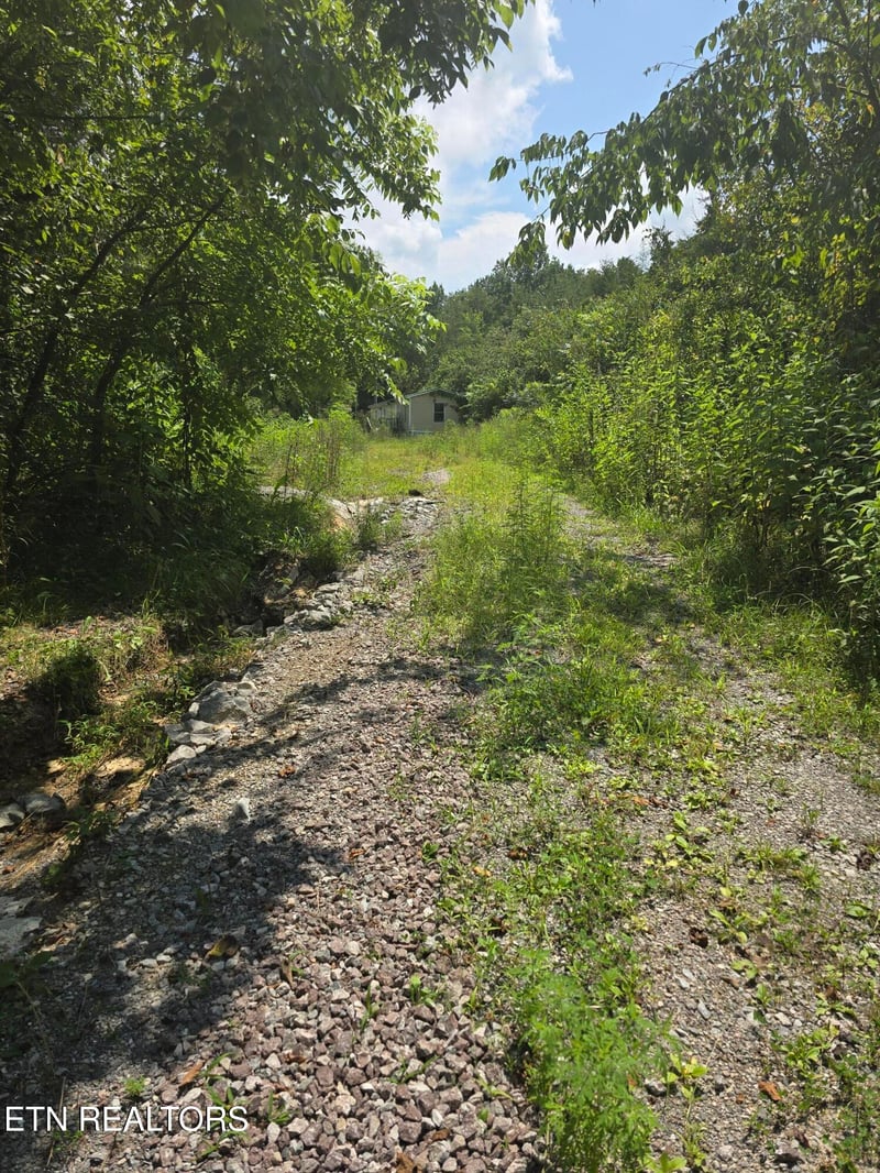 152 - 138 Wilmoth Ln, Washburn, TN 37888