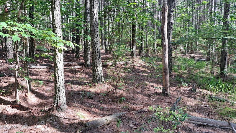 152 Sunset View Ln, Rockwood, TN 37854