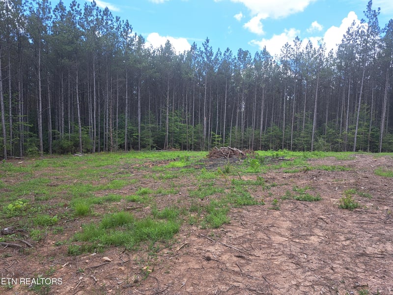 152 Sunset View Ln, Rockwood, TN 37854