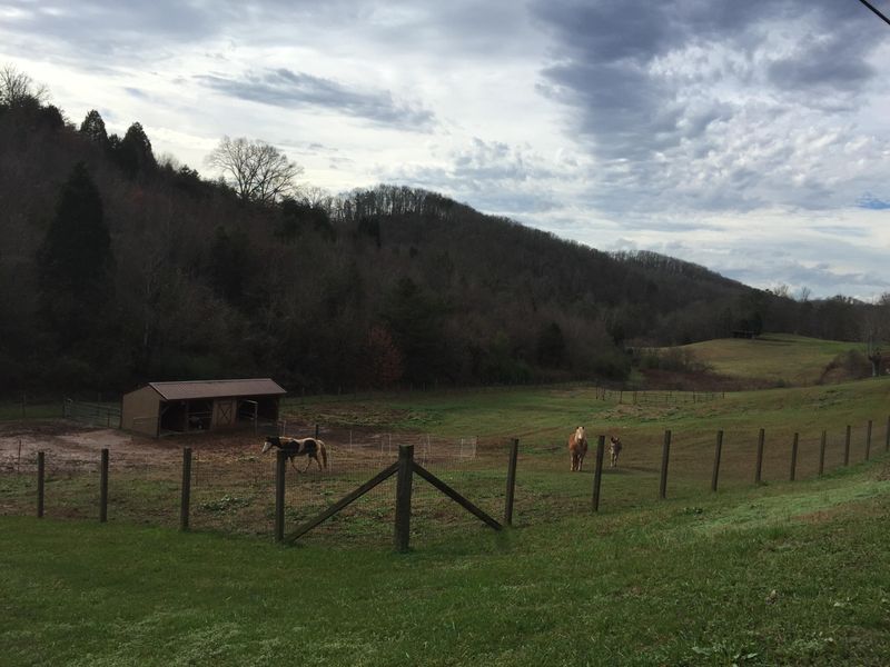 1520 Brown Rd, Knoxville, TN 37920