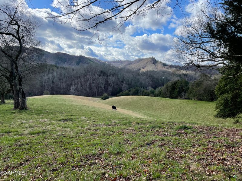 1522 Jayell Rd, Sevierville, TN 37862