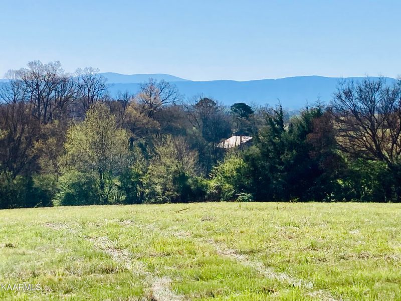1529 Salem Loop Rd, Greenback, TN 37742
