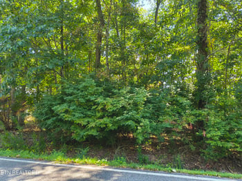 153 Greenwood Rd, Crossville, TN 38558