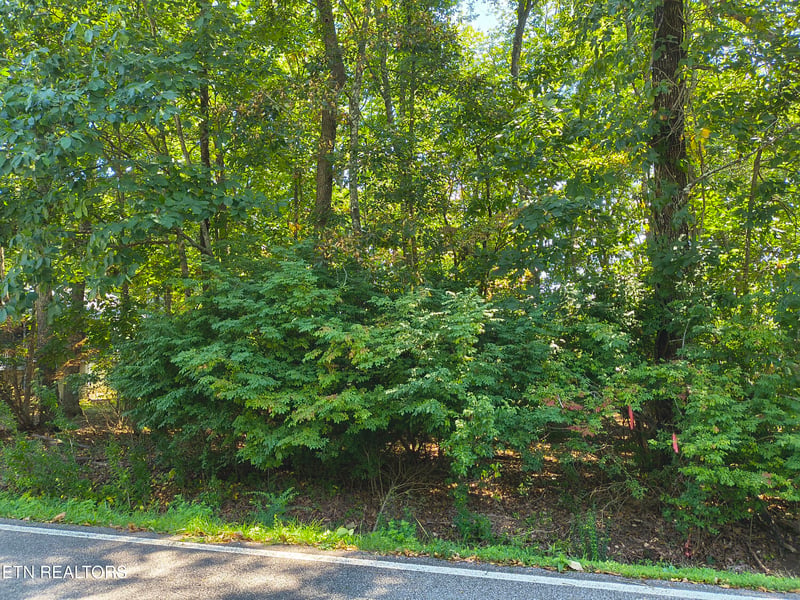 153 Greenwood Rd, Crossville, TN 38558