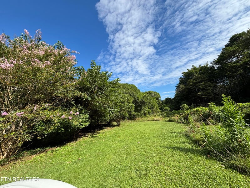 153 Old Kingston Hwy, Rockwood, TN 37854