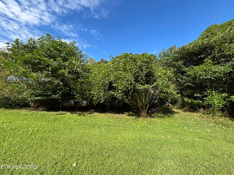 153 Old Kingston Hwy, Rockwood, TN 37854